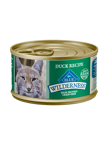 wet cat food duck