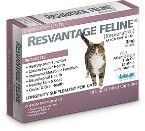 RESVANTAGE 維蘆醇 – 白藜蘆醇 (貓) 30粒
